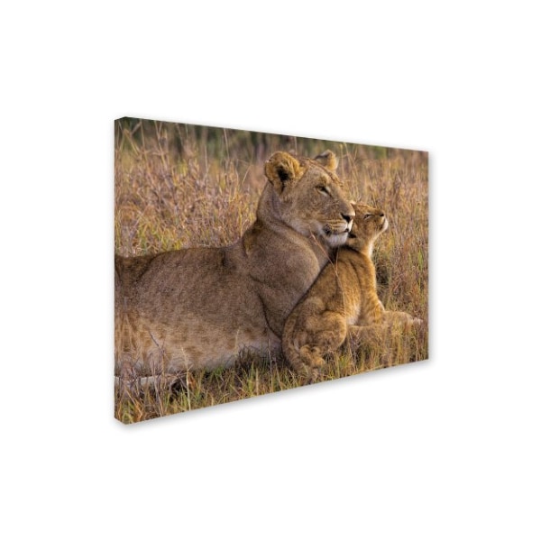 Henry Jager 'Baby Lion With Mother' Canvas Art,35x47